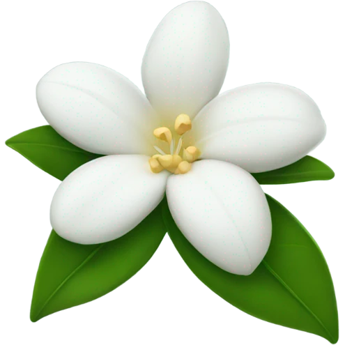 jasmine flower emoji