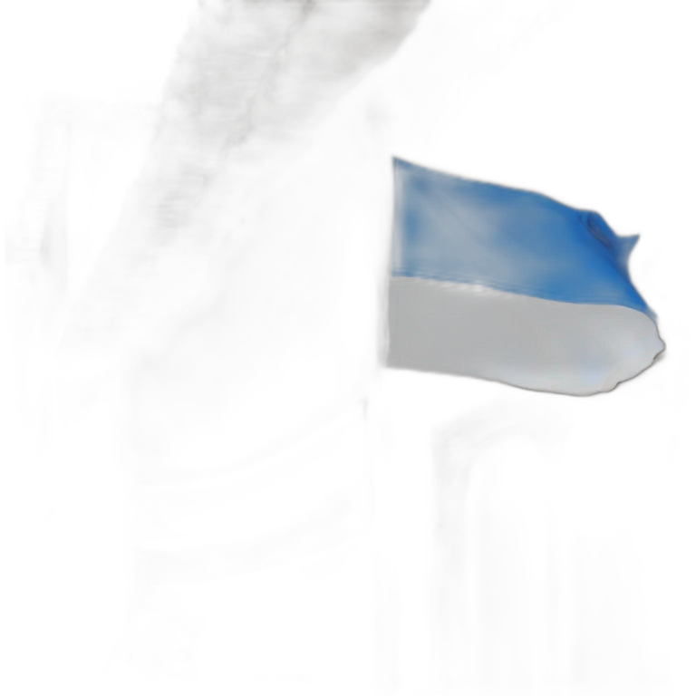 Bandera rectangular con tres franjas horizontales, una azul, otra blanca y otra azul, en el centro de la blanca la palabra Jerez emoji