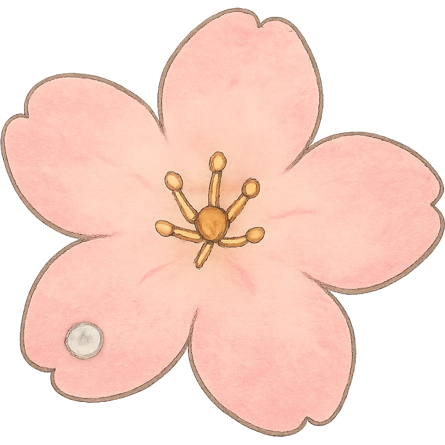 single soft pastel sakura blossom, Japanese hand-drawn kawaii, full object, transparent background, with a tiny dew drop emoji