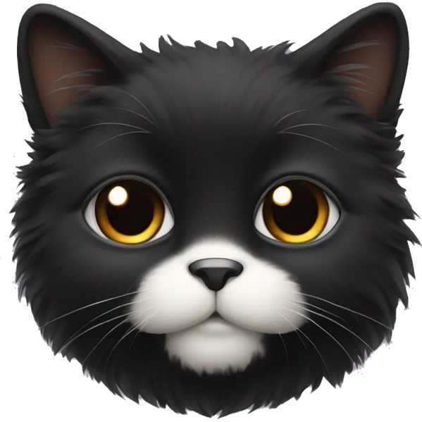 Black fluffy cat with white chin and belly  emoji