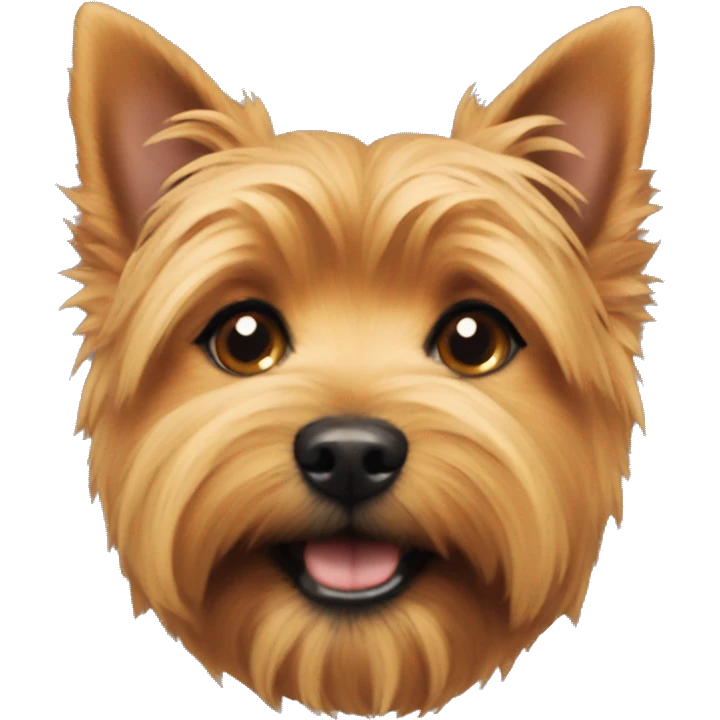 Norwich terrier  emoji
