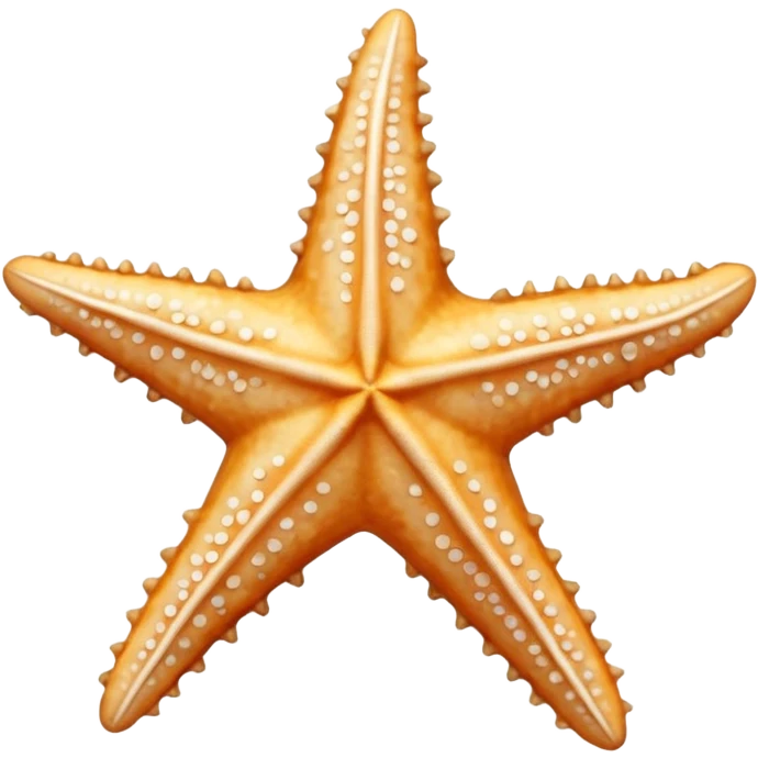 all white dried star fish emoji