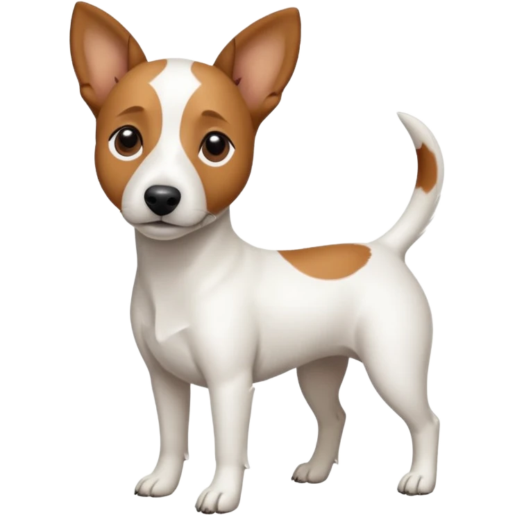 a full body white jack russel looking dog the size of a kelpie with light brown ears and a light brown patch on one eye, flopped down ears and a large snout emoji