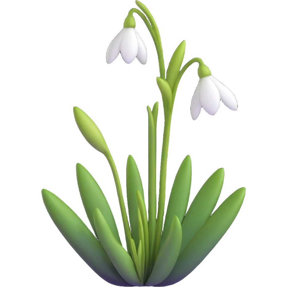 snowdrop flower emoji