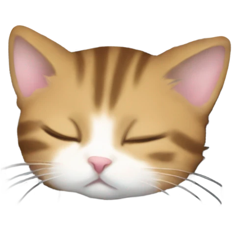 kitten sleeping on piano keys emoji