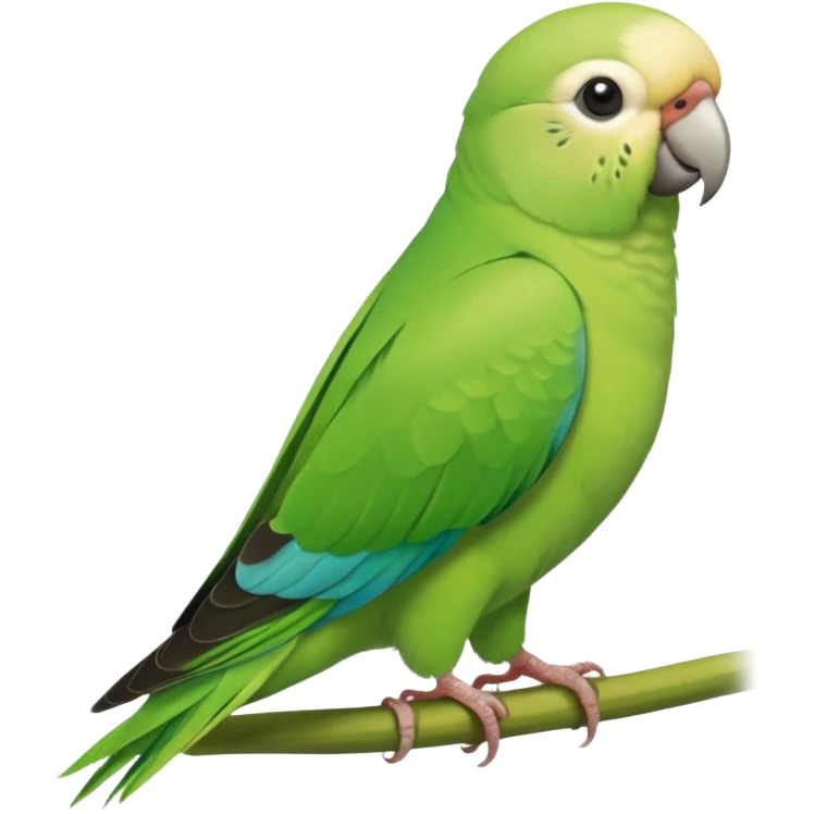 Green Quaker Parakeet emoji