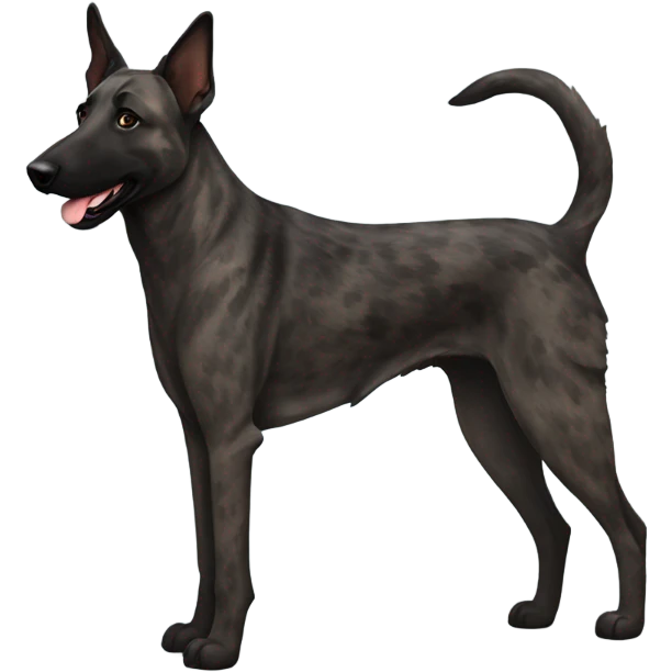 Brindle Dutch shepherd  emoji