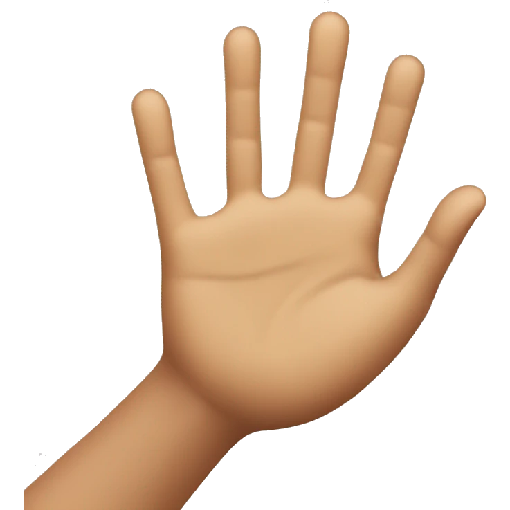 person holding hand up to say "stop" not friendly emoji