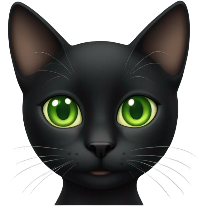 Black Cat named Dewey  emoji