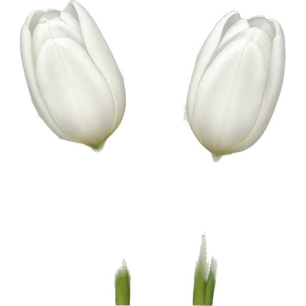 White tulips  emoji