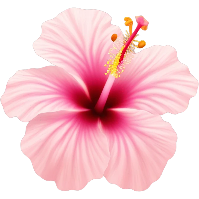 hibiscus pink pastel  emoji