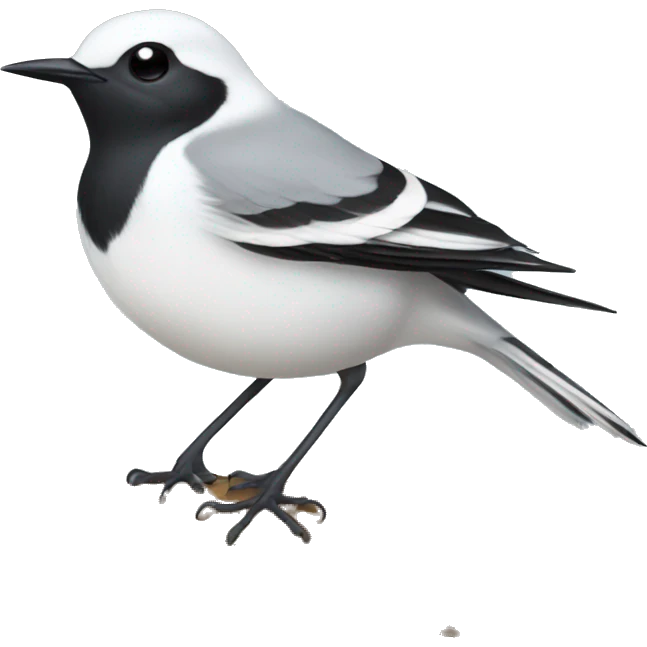 White wagtail emoji