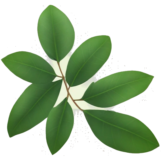 Eucalyptus leaves emoji