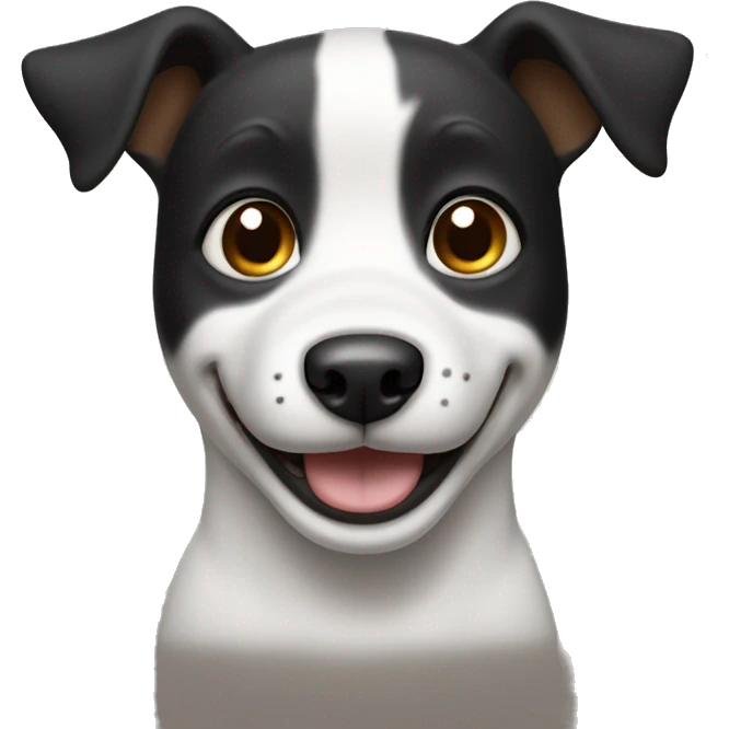 Black and white dog with standing ears, Brown eyes and a smile  emoji