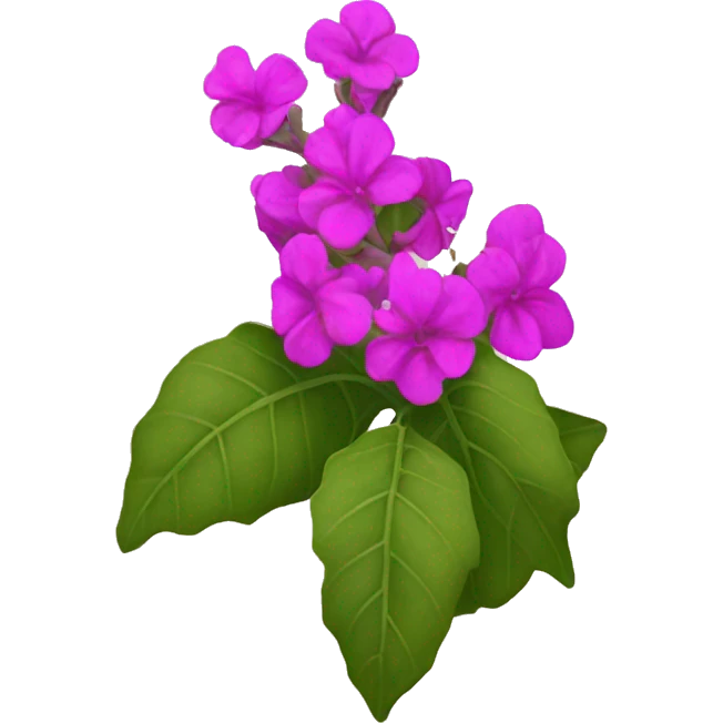 buganvillea  emoji