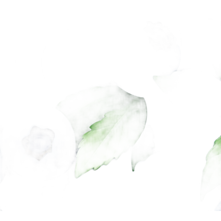 Blueberries  emoji