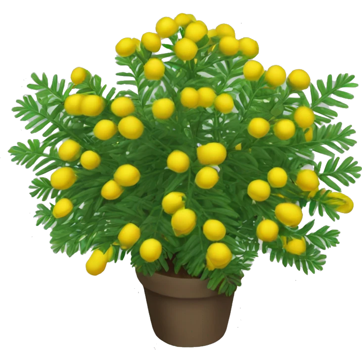 shame plant mimosa podia dormilona moriviví emoji