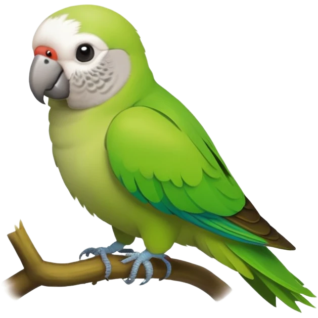 Monk parakeet emoji