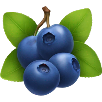 Blueberry emoji