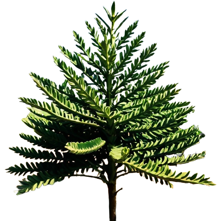 орехи и листья зеленого салата emoji