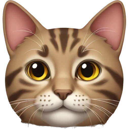 Cat emoji
