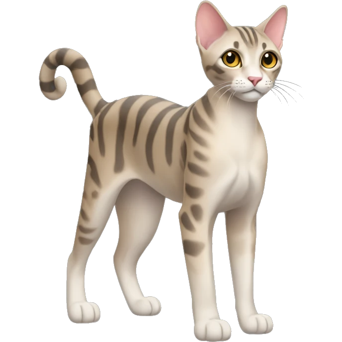 Serengeti Cat Breed Full Body emoji