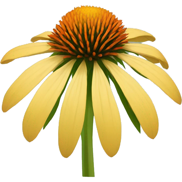 Coneflower  emoji