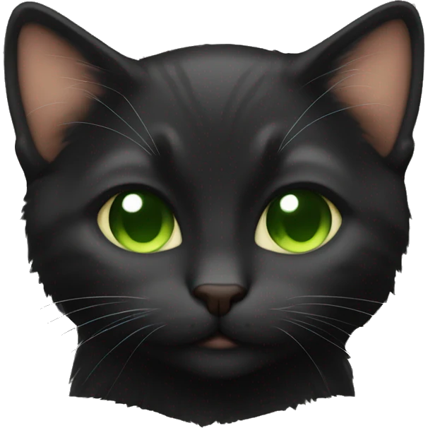 Black coat and brown green eyes kitten  sleeping  emoji