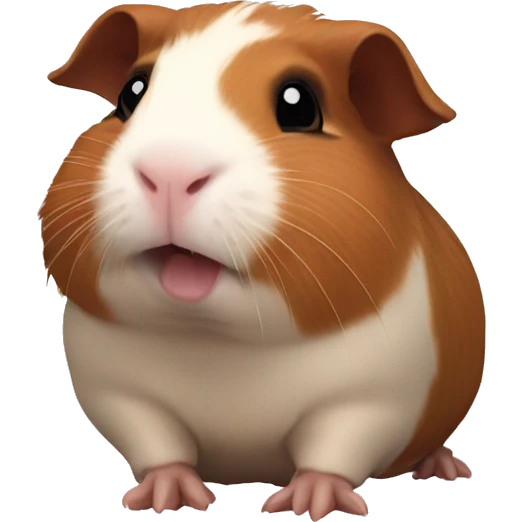 Guinea pig yes emoji