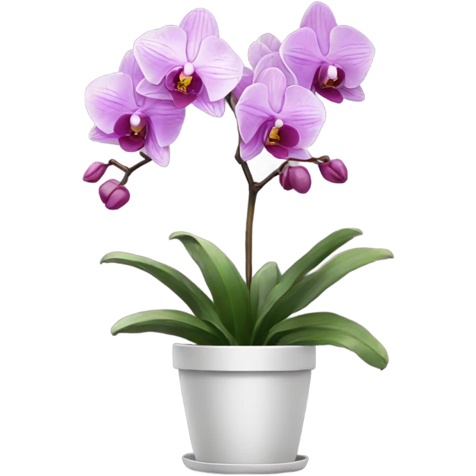 orchid in pot emoji
