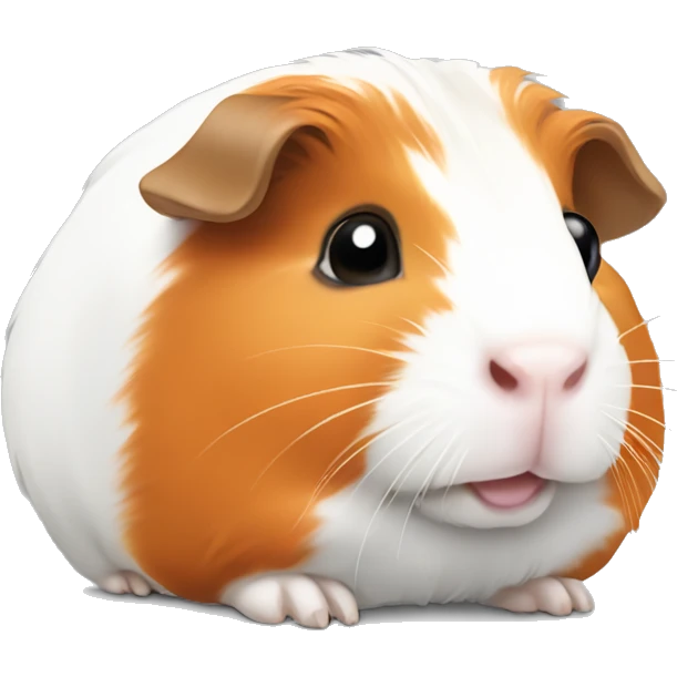 Guinea pig , white and orage color emoji
