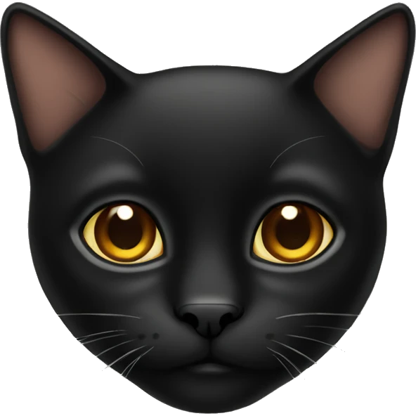 Black cat with brown eyes emoji