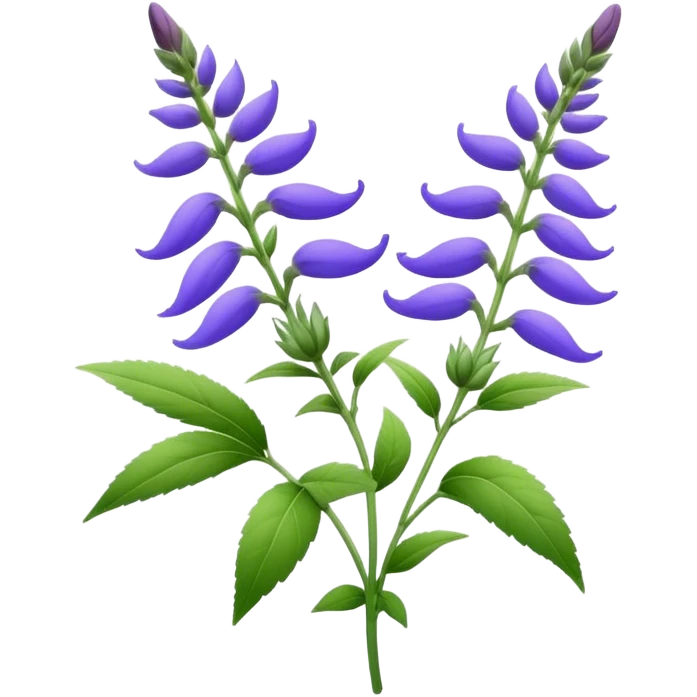 nice salvia flower for a logo for a web emoji