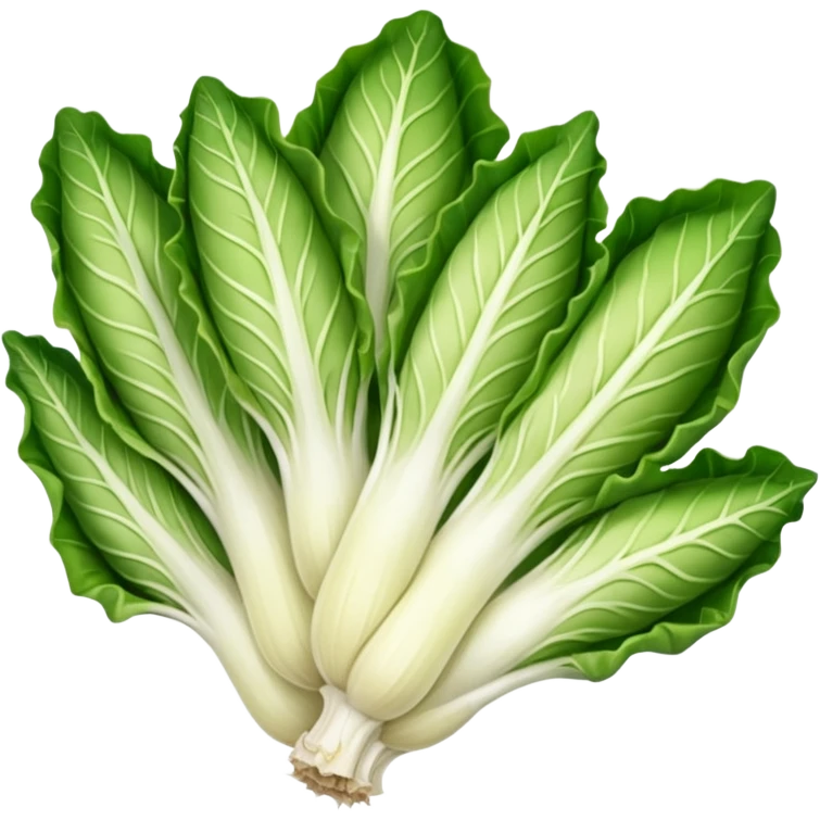 green blegian endive radicchio smooth emoji