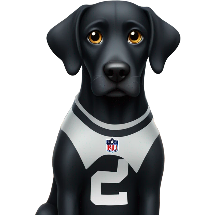 Black dog watching the Super Bowl emoji