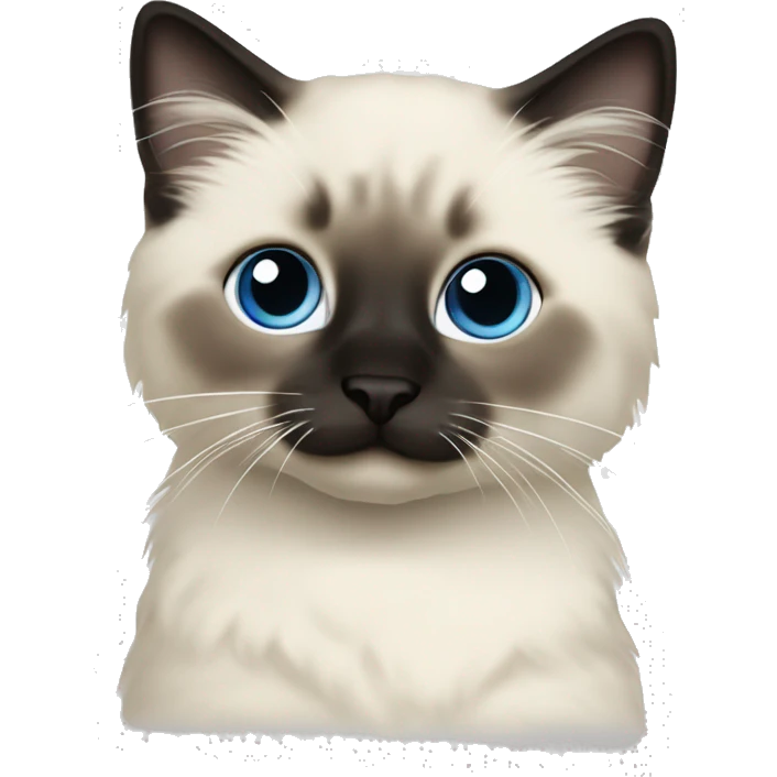 Seal colorpoint ragdoll kitten dark nose emoji