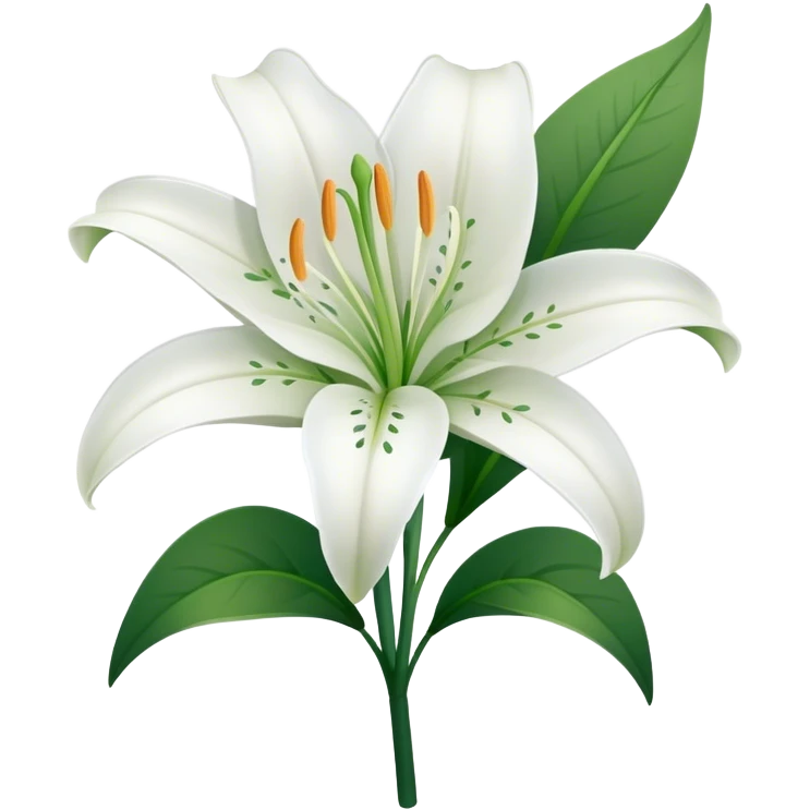 single Snow White Lily, straight stem emoji
