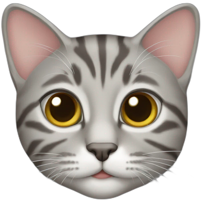 Gray tabby cat emoji