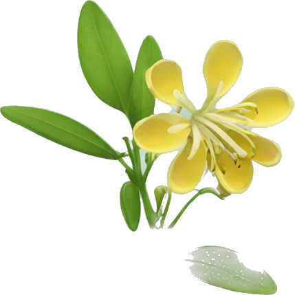 Honeysuckle flower emoji