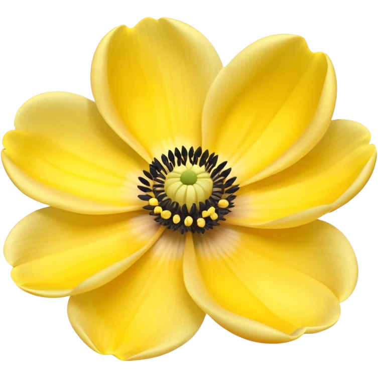 Anemone yellow 5 emoji
