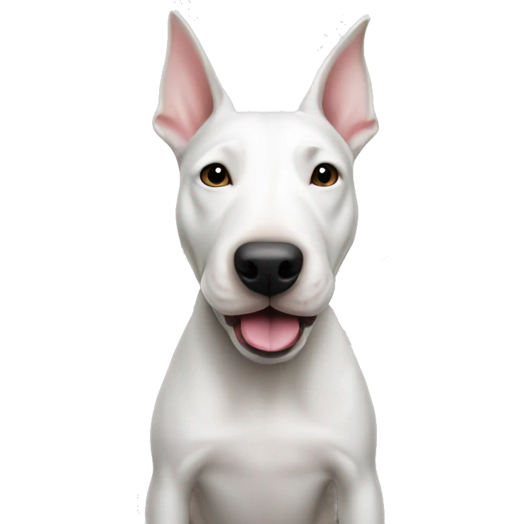 A White Bull terrier with cash emoji