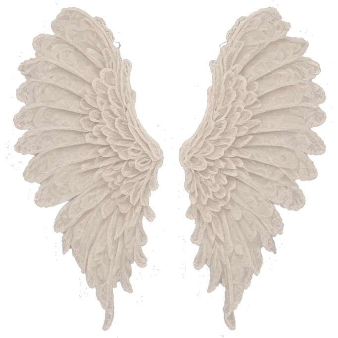 rococo lace angel wings emoji
