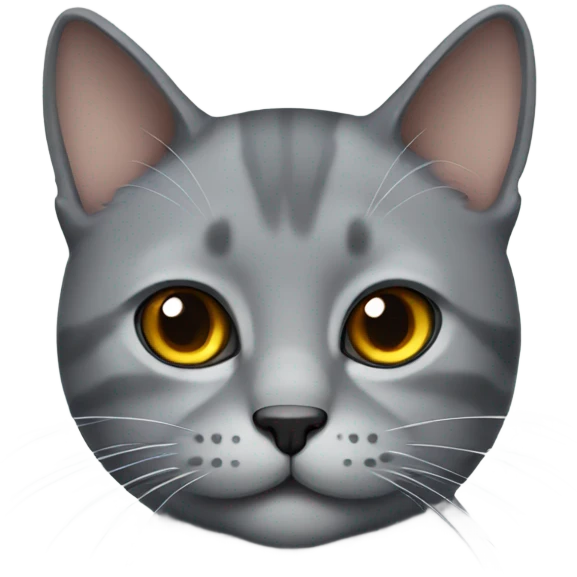 gray scotland cat emoji