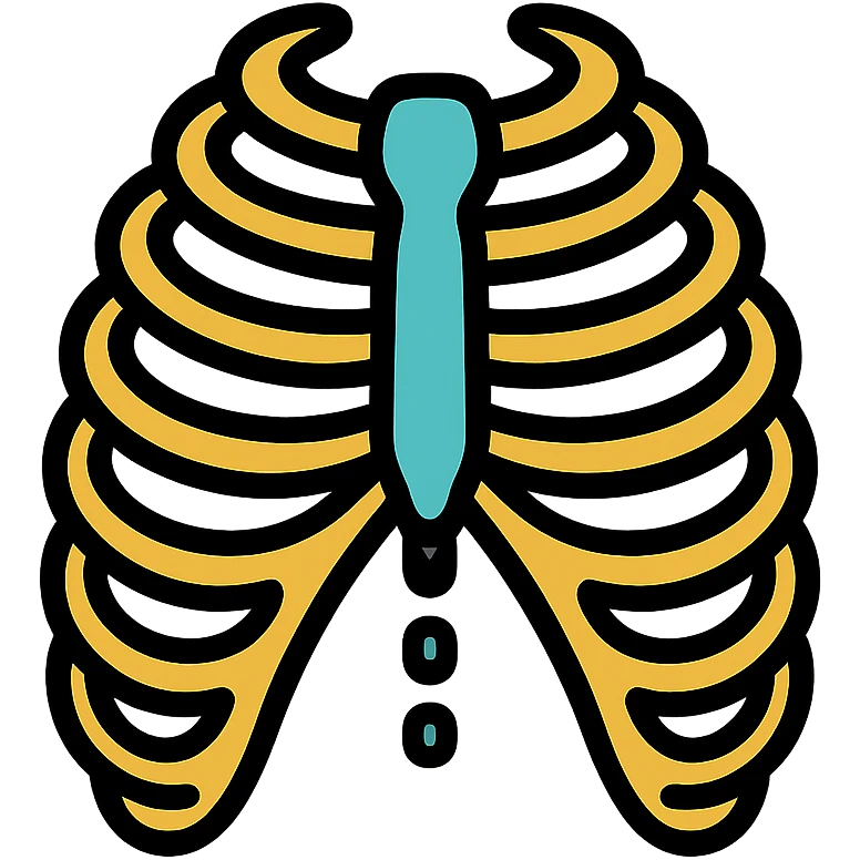 color outline icon of skeleton ribs without head emoji