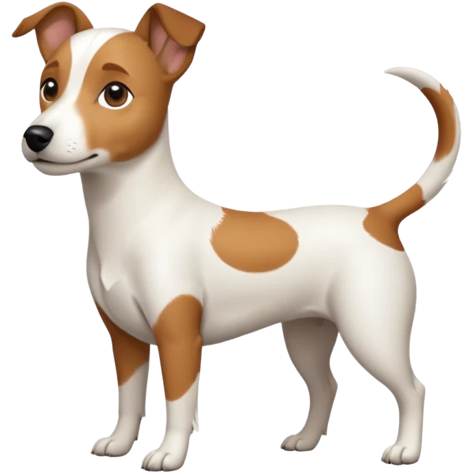 a full body white jack russel looking dog the size of a kelpie with light brown ears and a light brown patch on one eye, flopped down ears and a large snout emoji