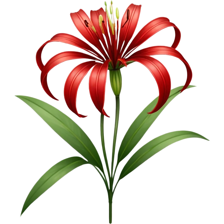 wilting red spider lily  emoji