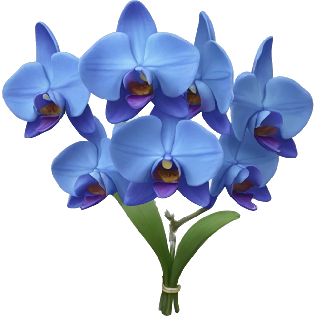 Blue orchids bouquet  emoji