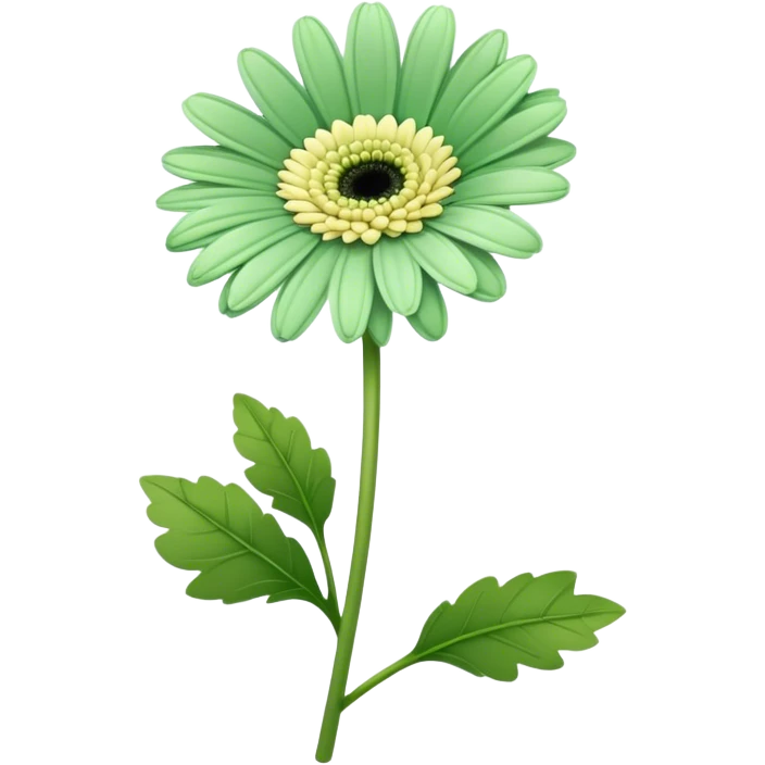 single Soft Green Gerbera Daisy, straight stem emoji