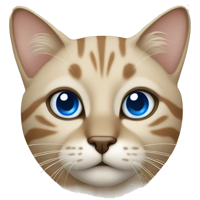 Beige tigered cat with blue eyes emoji