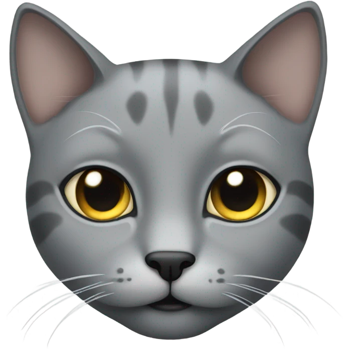 Gray cat with black eye emoji
